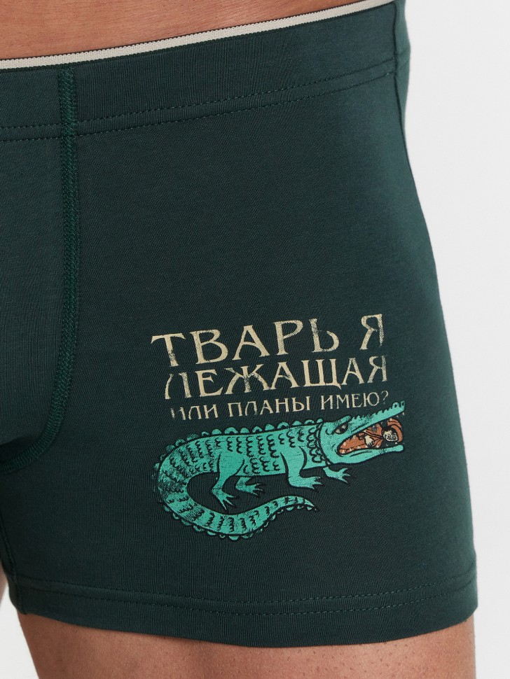 Трусы боксеры мужские зеленые с принтом "Тварь я лежащая или планы имею?" 411134