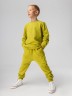 Костюм 11-306МU фисташковый Bodo