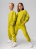 Костюм 11-306МU фисташковый Bodo