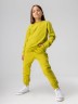 Костюм 11-306МU фисташковый Bodo