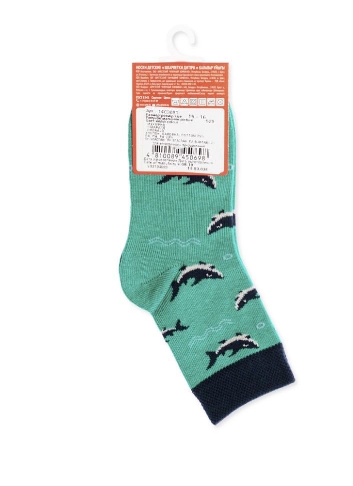 529 