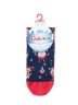 CONTE-KIDS NEW YEAR 21С-61СПА Носки детские 517