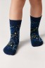 Conte-kids TIP-TOP Хлопковые носки с рисунками 622 CONTE-KIDS