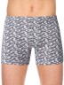 DIWARI SHAPE MBX 203 Трусы мужские (в коробке) в коробке DIWARI